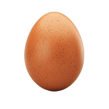 Single Egg